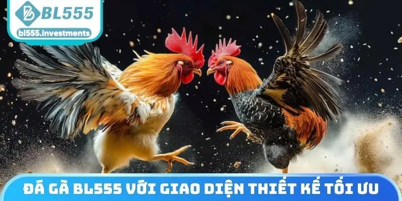 Đá gà BL555 nổi tiếng với giao diện thiết kế cực tối ưu